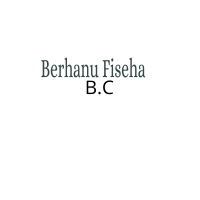 Berhanu Fiseha Building Construction